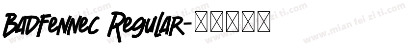 BadFennec Regular字体转换